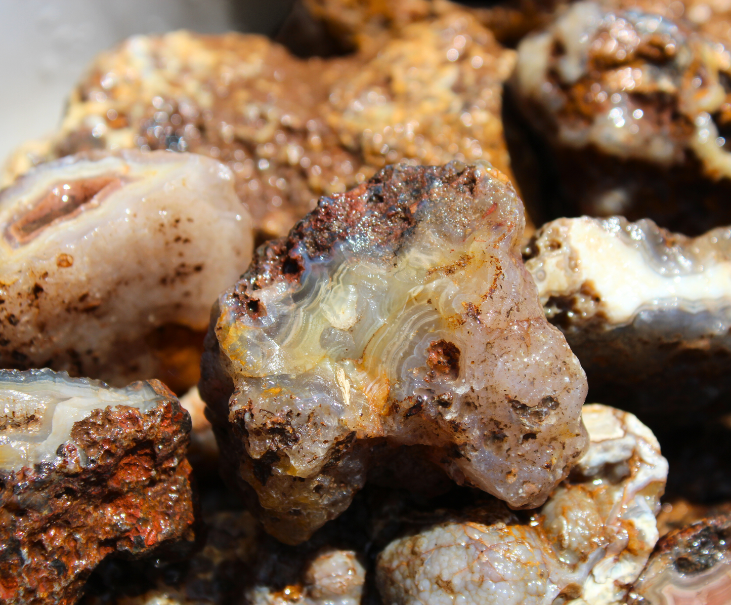 Picacho Agate Nodules | Rough Lapidary Material