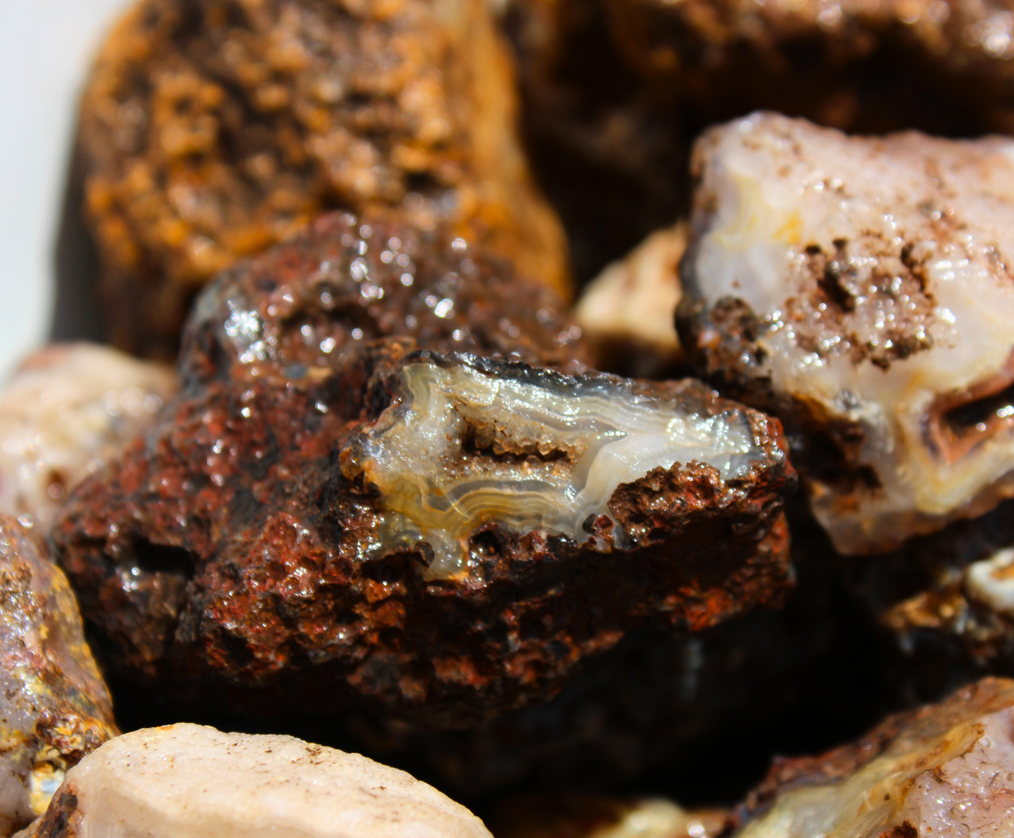 Picacho Agate Nodules | Rough Lapidary Material