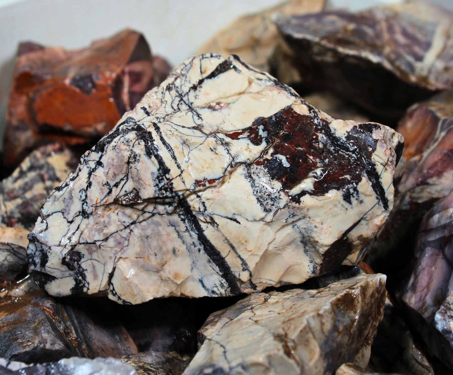 Porcelain Jasper | Tumbling & Lapidary Rough