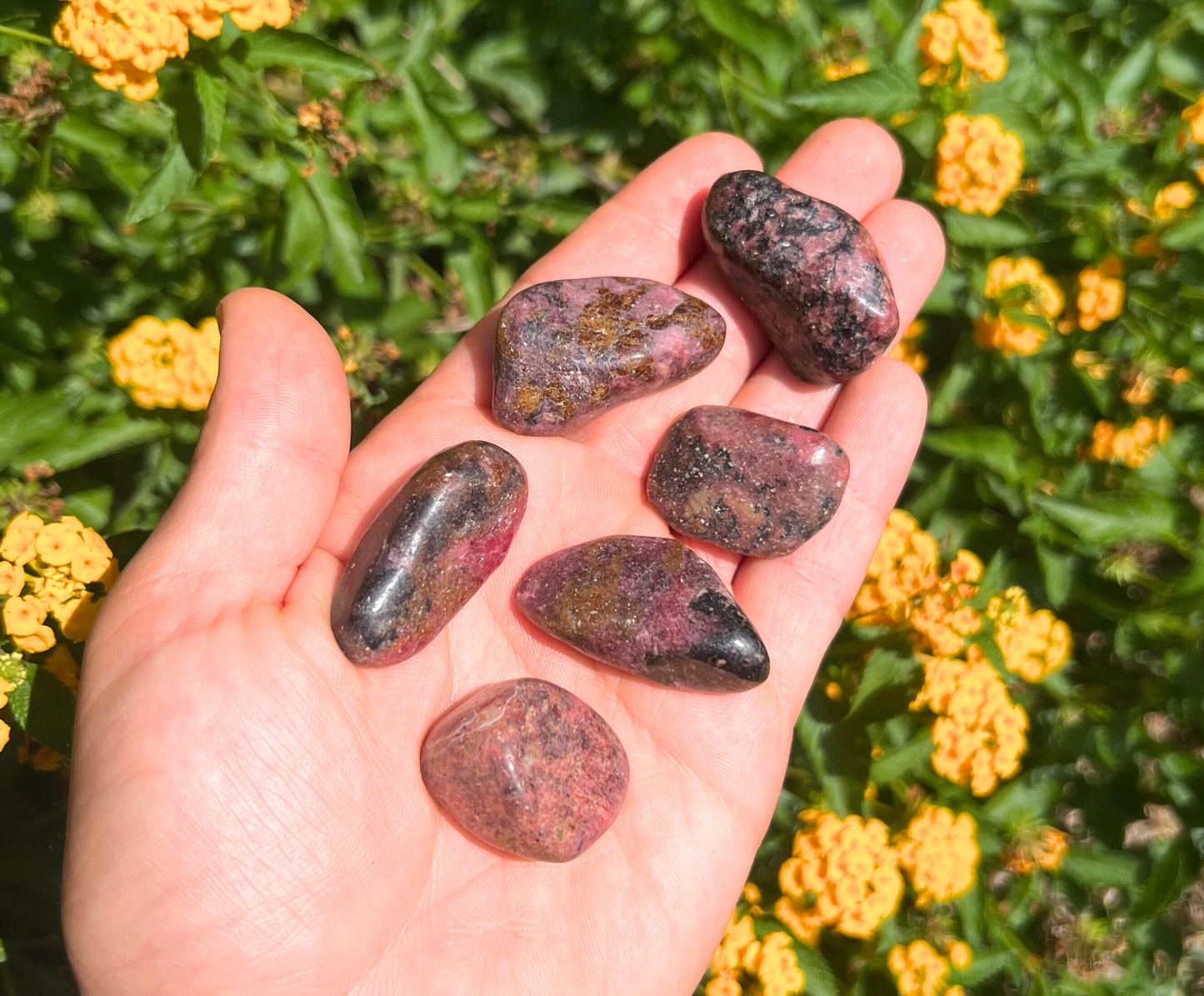 Rhodonite - Tumbled Gemstones from South Africa