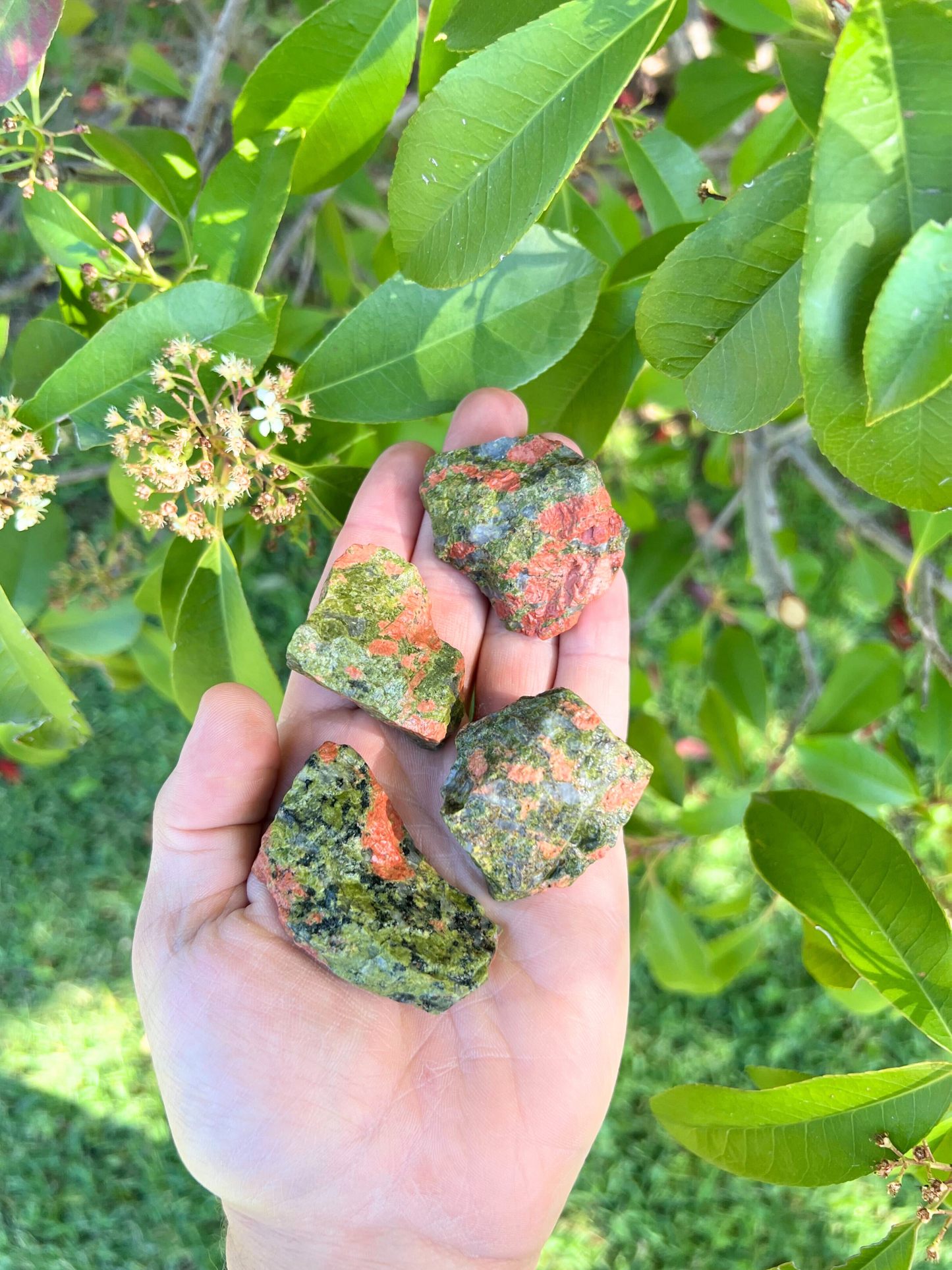 Unakite | Tumbling Rough