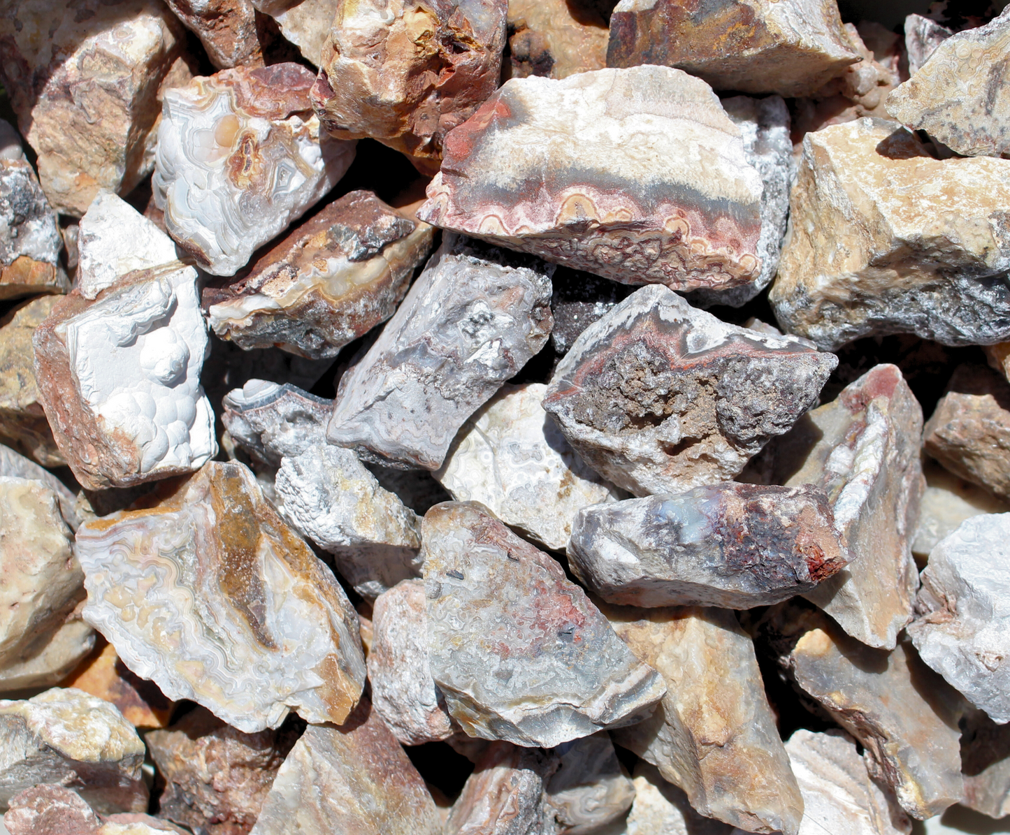 Crazy Lace Agate | Tumbling Rough