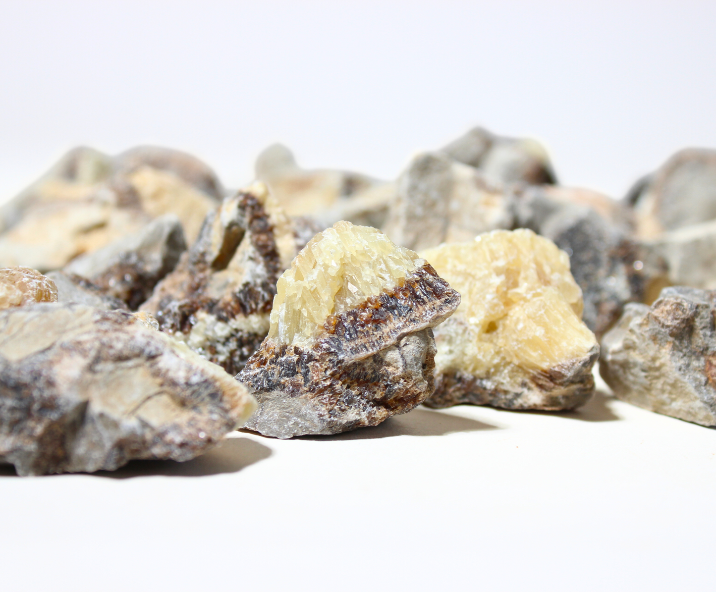 Septarian | Tumbling Rough