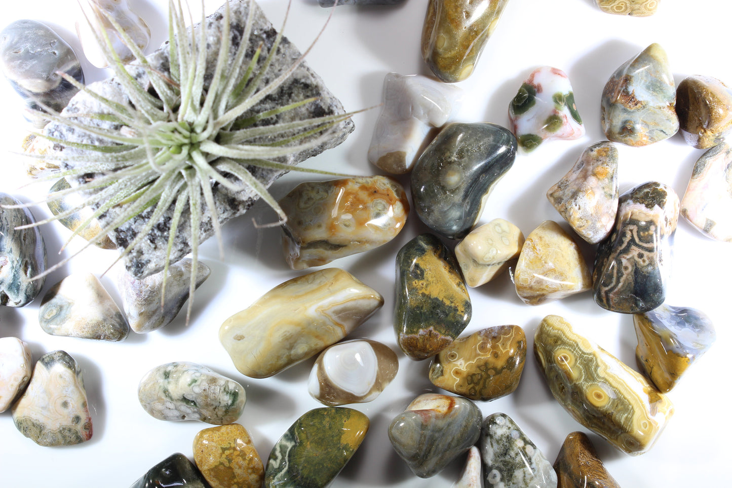 Ocean Sea Jasper Tumbled Gemstones - Bulk Wholesale