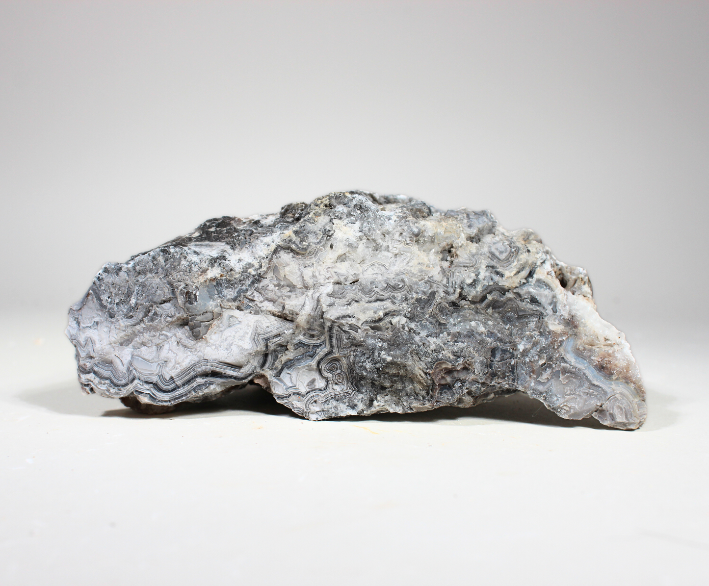 Tuxedo Lace Agate | "A" Grade | Slabbing Rough