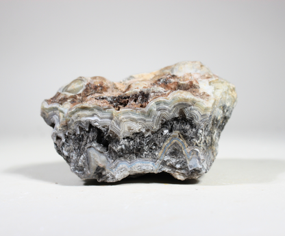 Tuxedo Lace Agate | "A" Grade | Slabbing Rough
