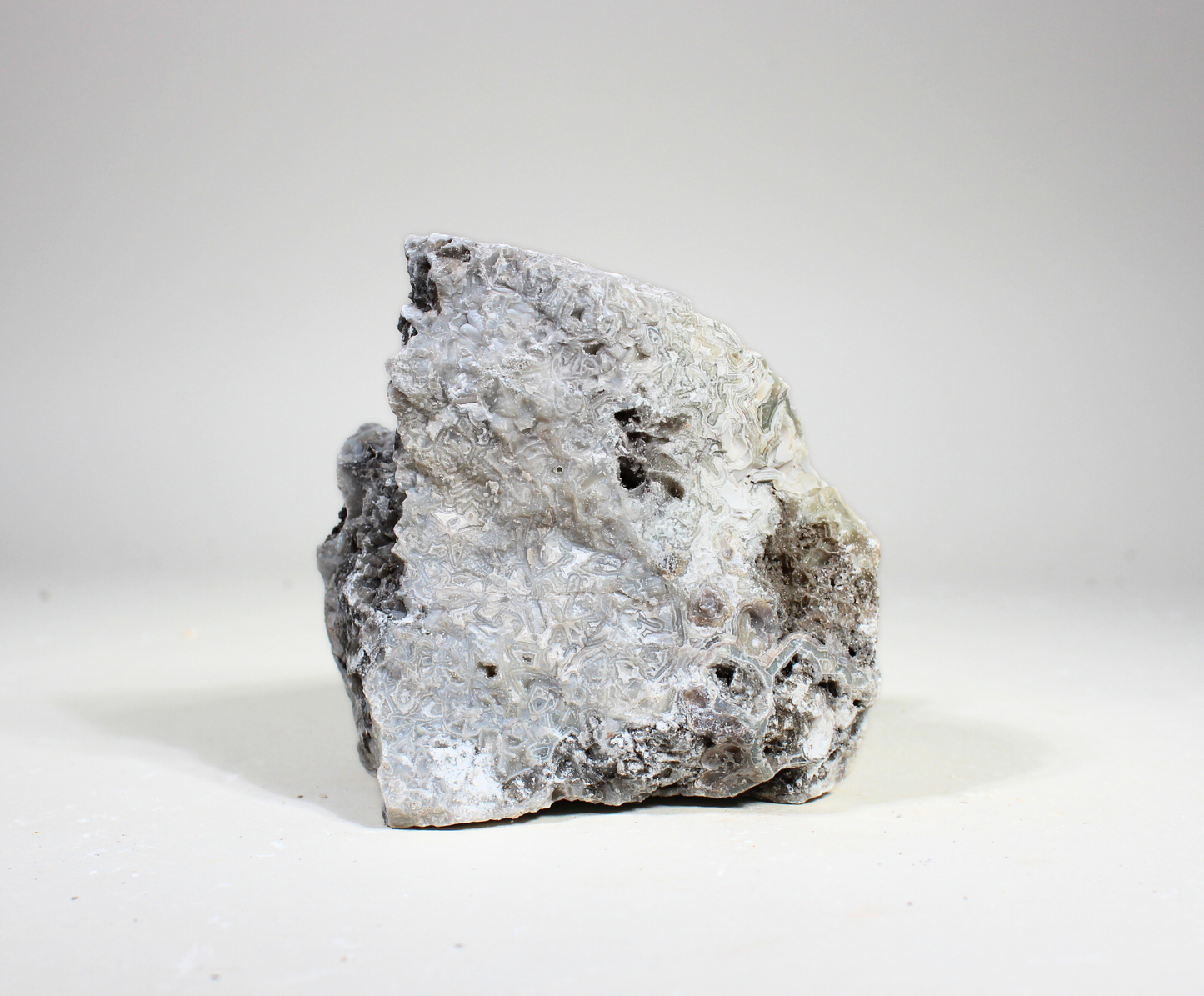 Tuxedo Lace Agate | "A" Grade | Slabbing Rough
