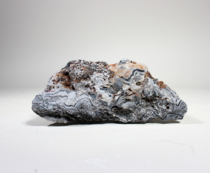 Tuxedo Lace Agate | "A" Grade | Slabbing Rough
