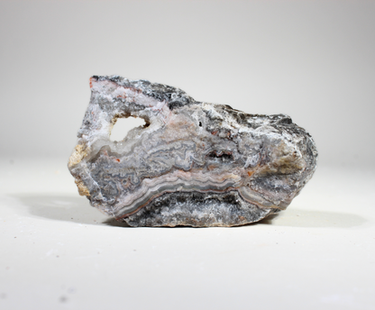 Tuxedo Lace Agate | "A" Grade | Slabbing Rough