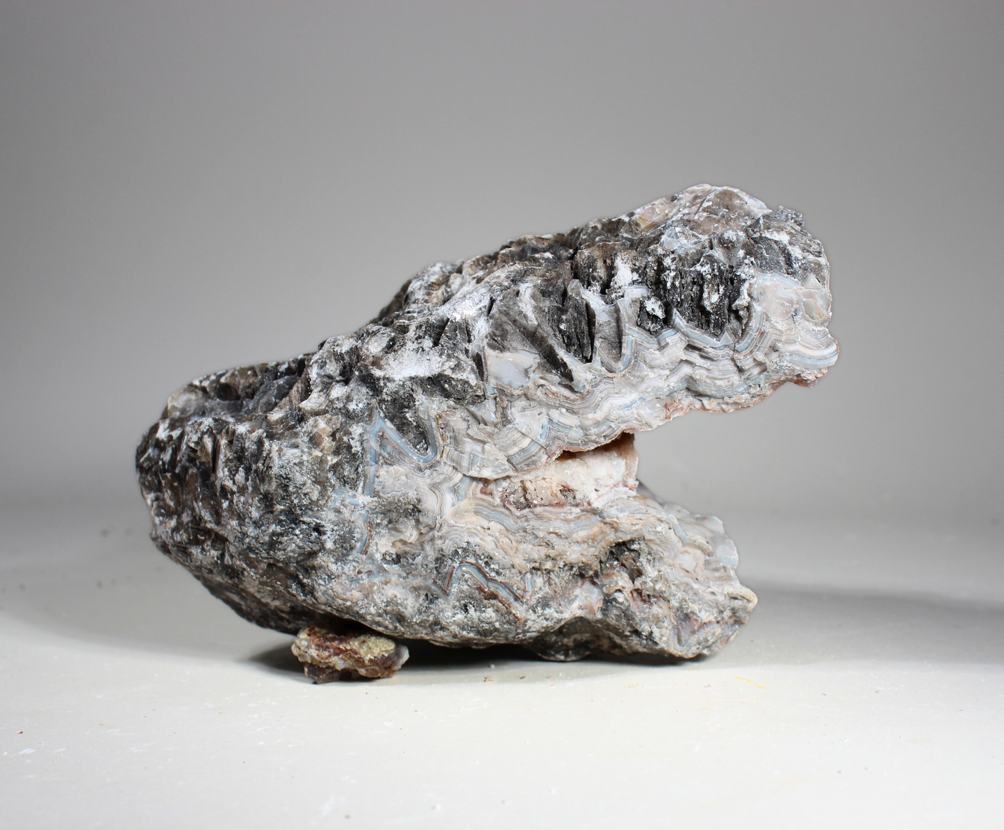 Tuxedo Lace Agate | "A" Grade | Slabbing Rough
