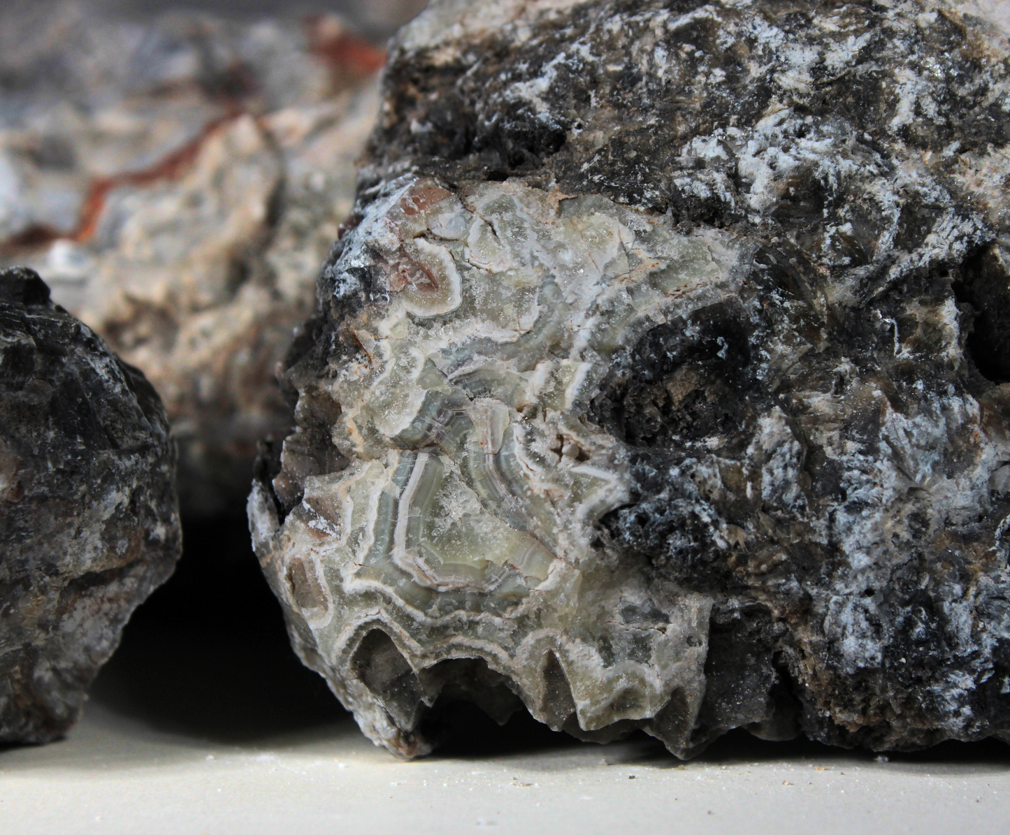 Tuxedo Lace Agate | "A" Grade | Slabbing Rough