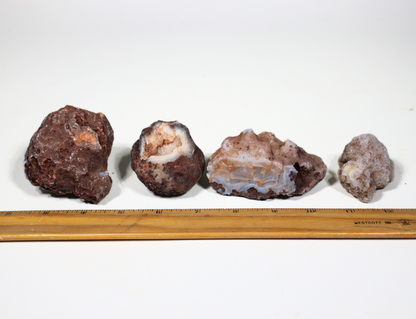 Calandria Agate Nodules | Rough Lapidary Material