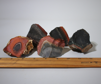 Polychrome "Desert" Jasper | Tumbling & Lapidary Rough
