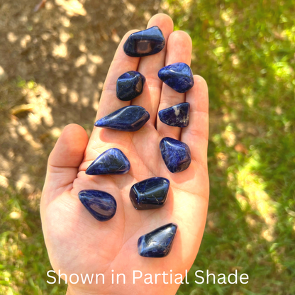 Dark Blue Sodalite Tumbled Stones | Premium Crystals for Collection, Home Decor or Art