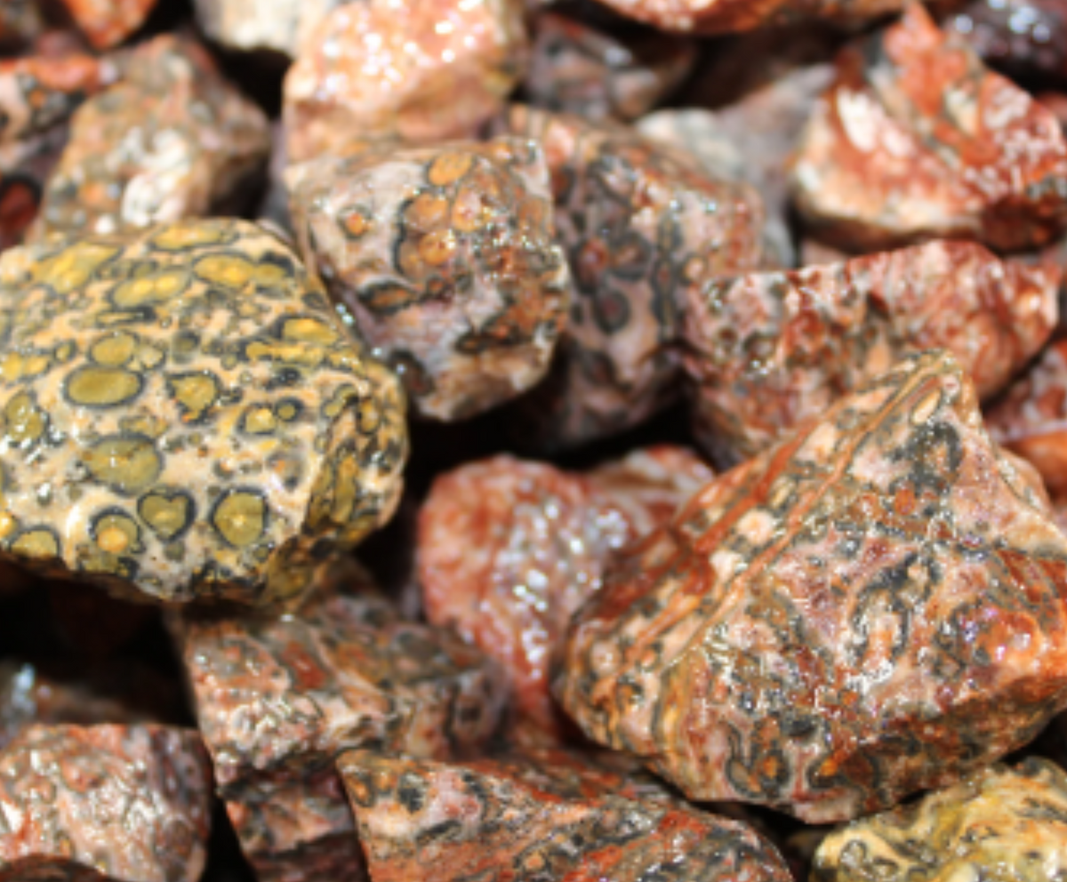 Leopard Rovks Leopard Skin Jasper | Tumbling Rough Rocks from Mexico | 1