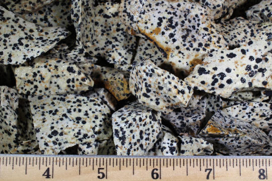 Dalmatian Jasper | Tumbling Rough Rocks from Mexico | 1" - 2" Raw Crystals