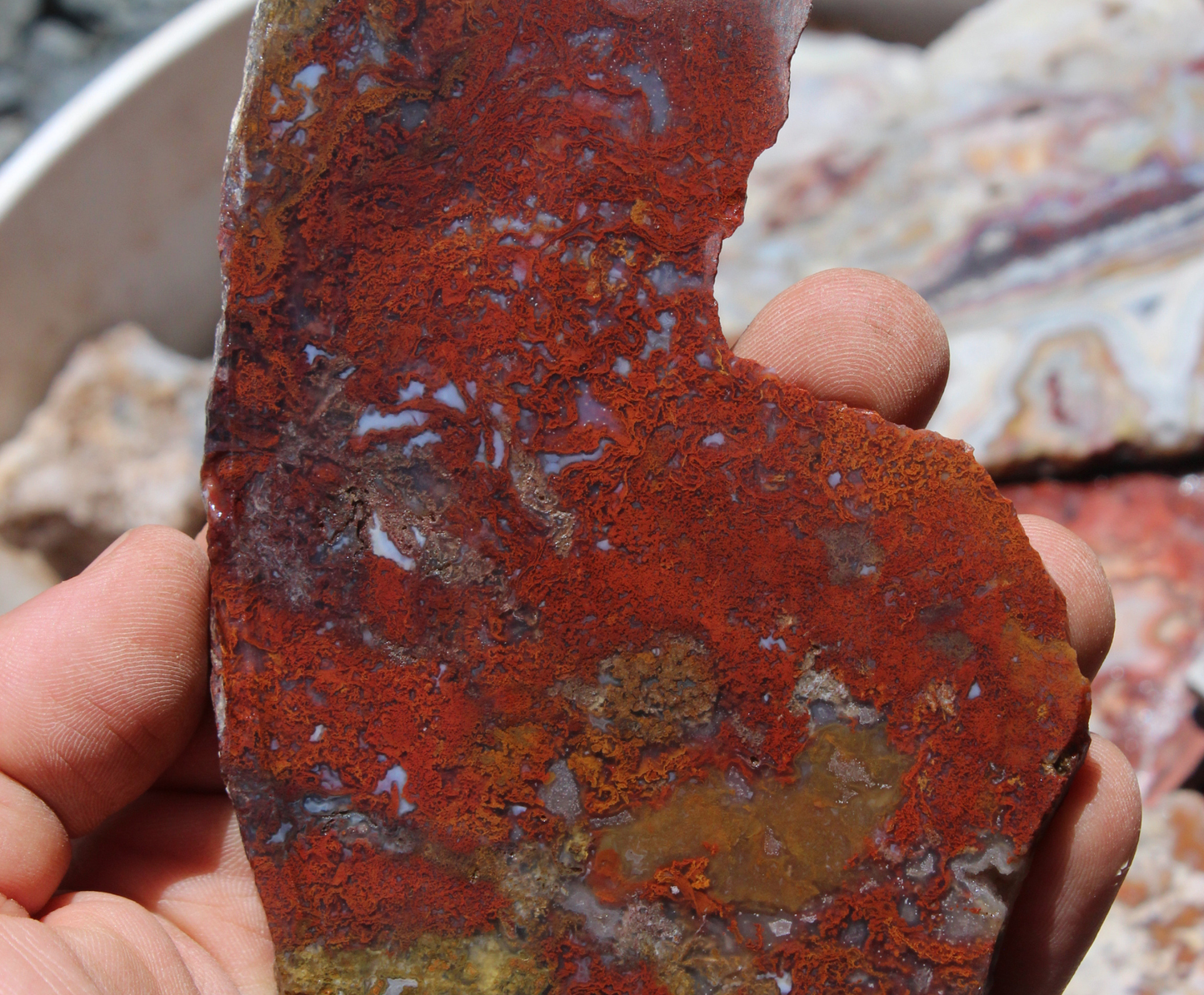 Assorted Slabs | Agates | Lapidary Rough