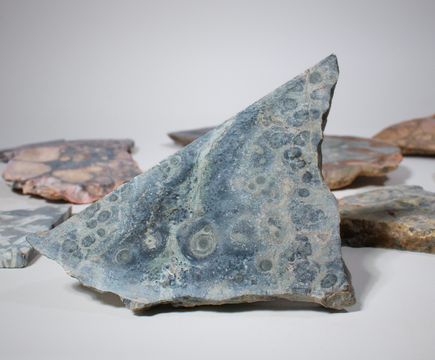 Assorted Slabs | Jasper, Rhyolite & Minerals | Lapidary Rough