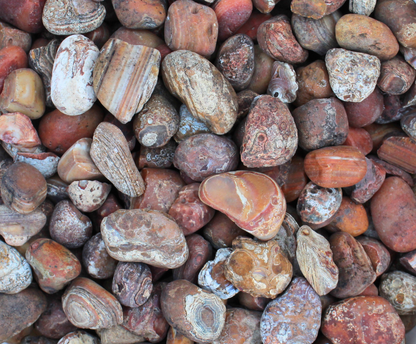 Bahia Agate | Tumbling Rough Rocks from Brazil | 1" - 2" Raw Crystals