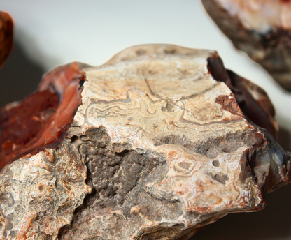 Carnelian | X-Large Slabbing Lapidary Material