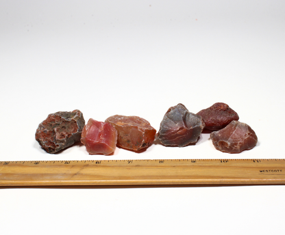 Red Carnelian | Tumbling Rough from India
