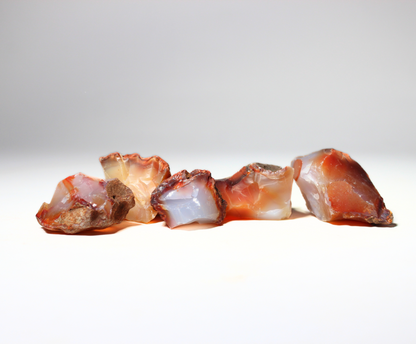 Carnelian | Tumbling Rough Rocks | Raw Crystals