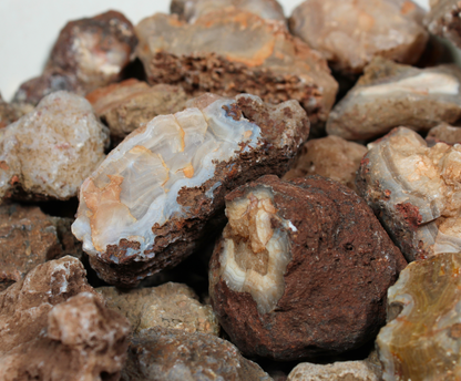 Calandria Agate Nodules | Rough Lapidary Material