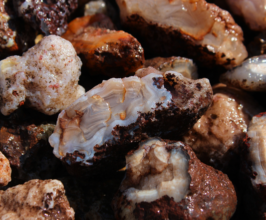 Calandria Agate Nodules | Rough Lapidary Material