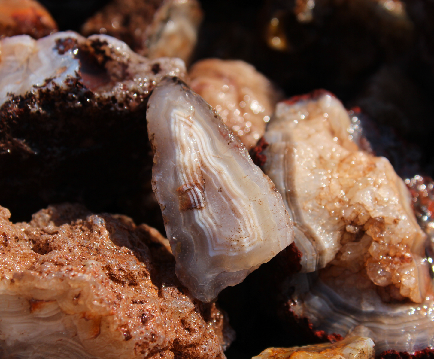 Calandria Agate Nodules | Rough Lapidary Material