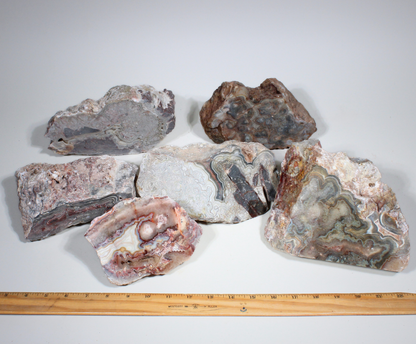Crazy Lace Agate | Offcuts | Center & Edge Pieces