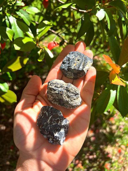 Black Tourmaline with Mica | Rough Rocks from Brazil | 1" - 2" Raw Crystals