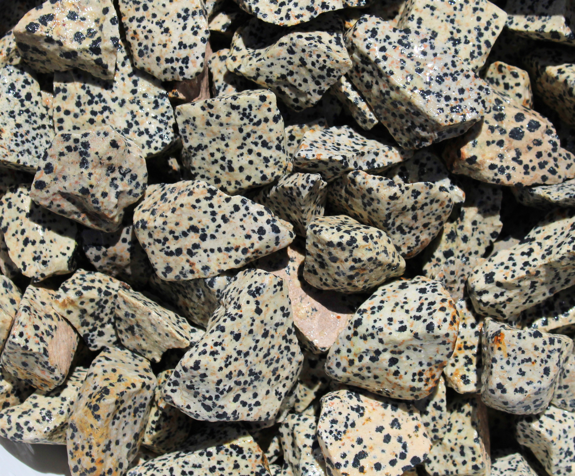 Dalmatian Jasper | Tumbling Rough Rocks from Mexico | 1