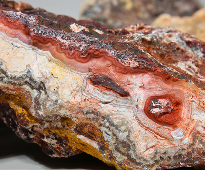 Flower of Peach Lace Agate | "Flor de Durazno" | Lapidary Rough