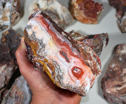 Flower of Peach Lace Agate | "Flor de Durazno" | Lapidary Rough