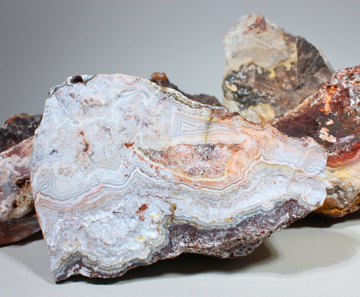 Flower of Peach Lace Agate | "Flor de Durazno" | Lapidary Rough