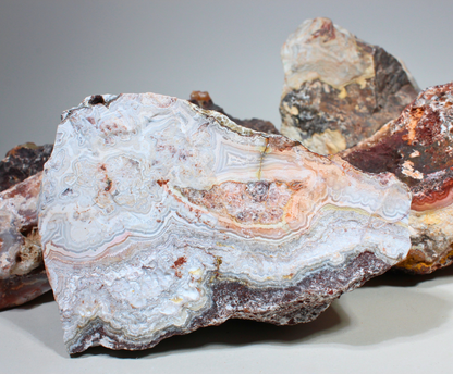 Flower of Peach Lace Agate | "Flor de Durazno" | Lapidary Rough