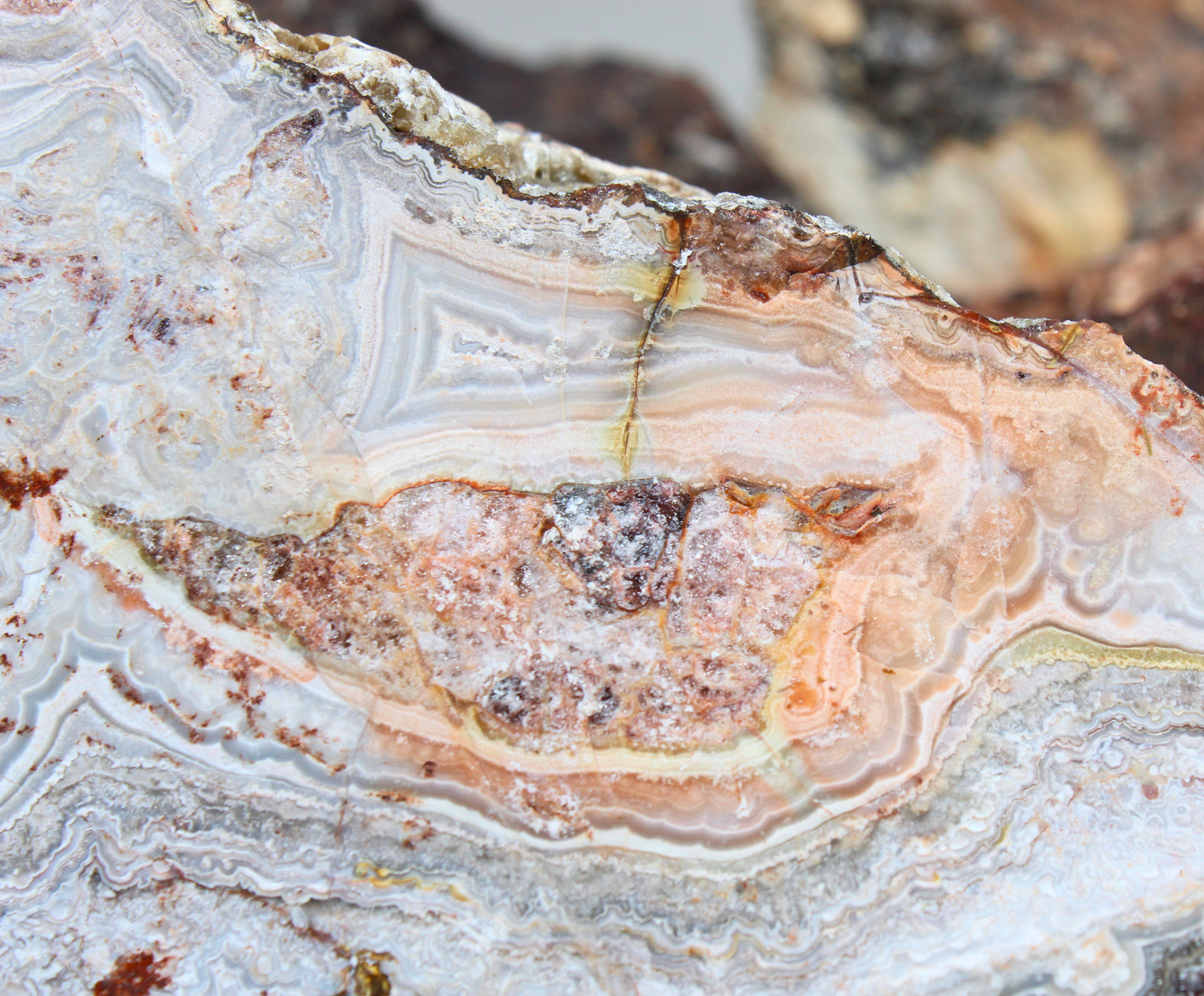 Flower of Peach Lace Agate | "Flor de Durazno" | Lapidary Rough