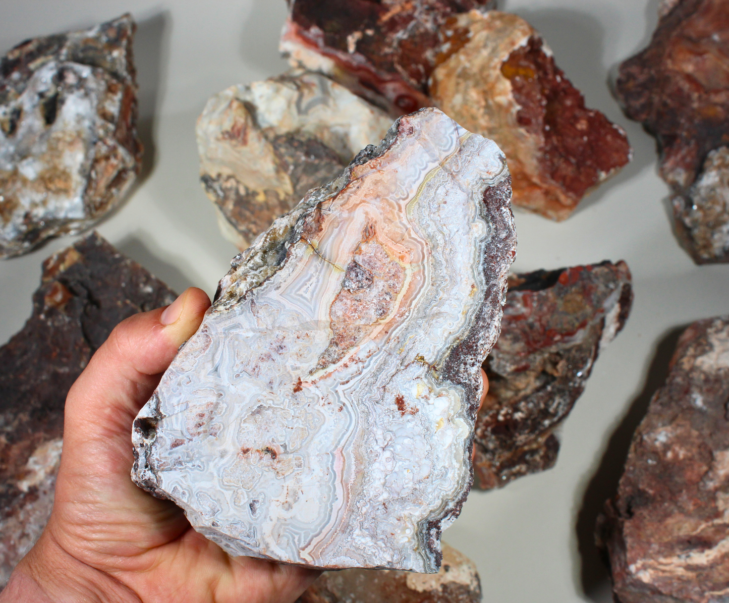 Flower of Peach Lace Agate | "Flor de Durazno" | Lapidary Rough