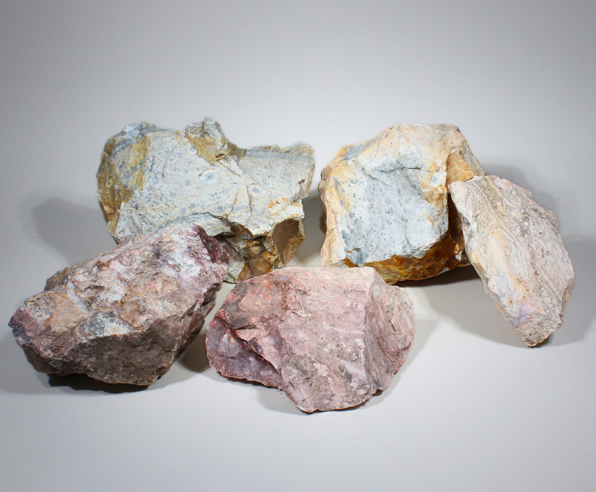 Galaxy Jasper | Orbicular Rhyolite | Lapidary Rough