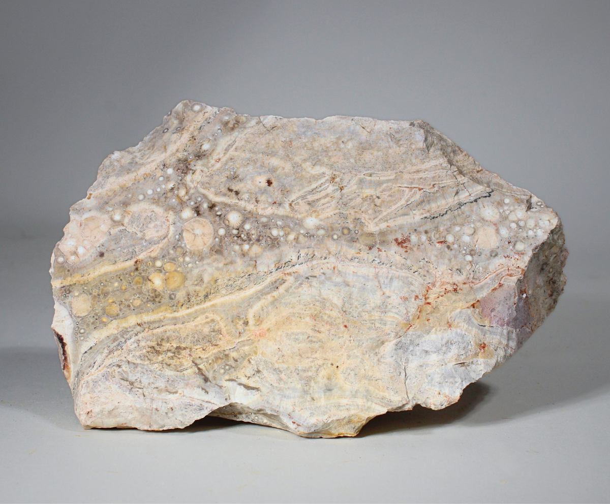 Galaxy Jasper | Orbicular Rhyolite | Lapidary Rough