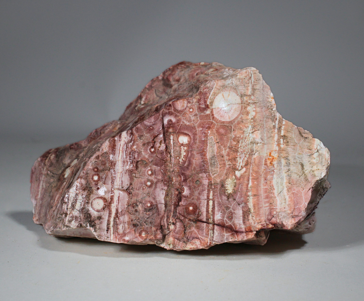 Galaxy Jasper | Orbicular Rhyolite | Lapidary Rough