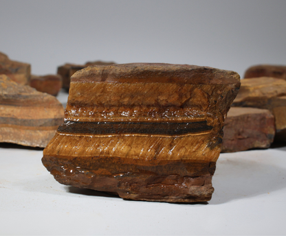 Gold Tiger's Eye | Lapidary Rough