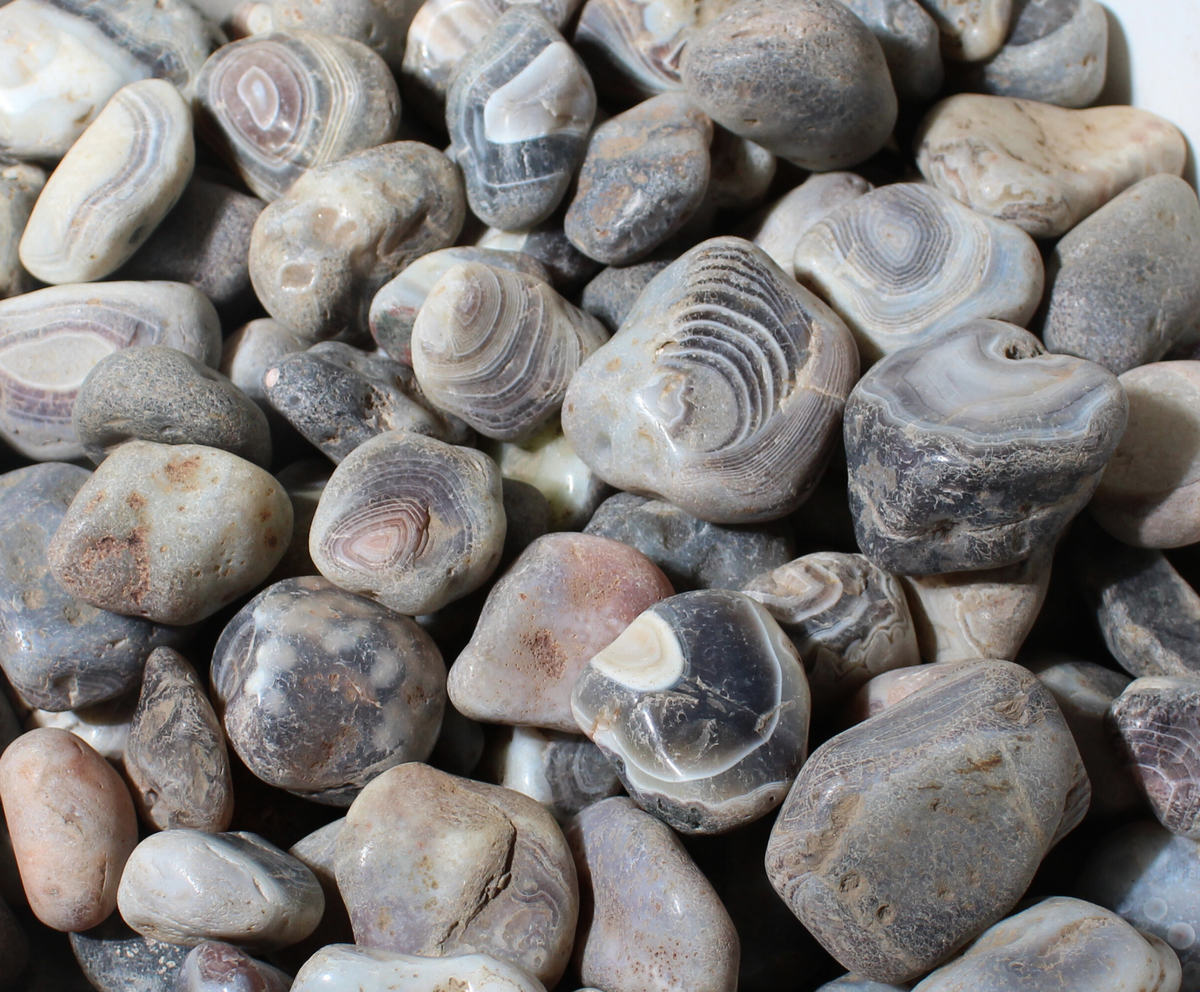 Gray Botswana Agate | Tumbling Rough Rocks from South Africa | Raw ...