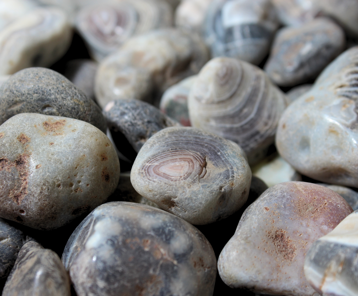 Gray Botswana Agate | Tumbling Rough Rocks from South Africa | Raw ...