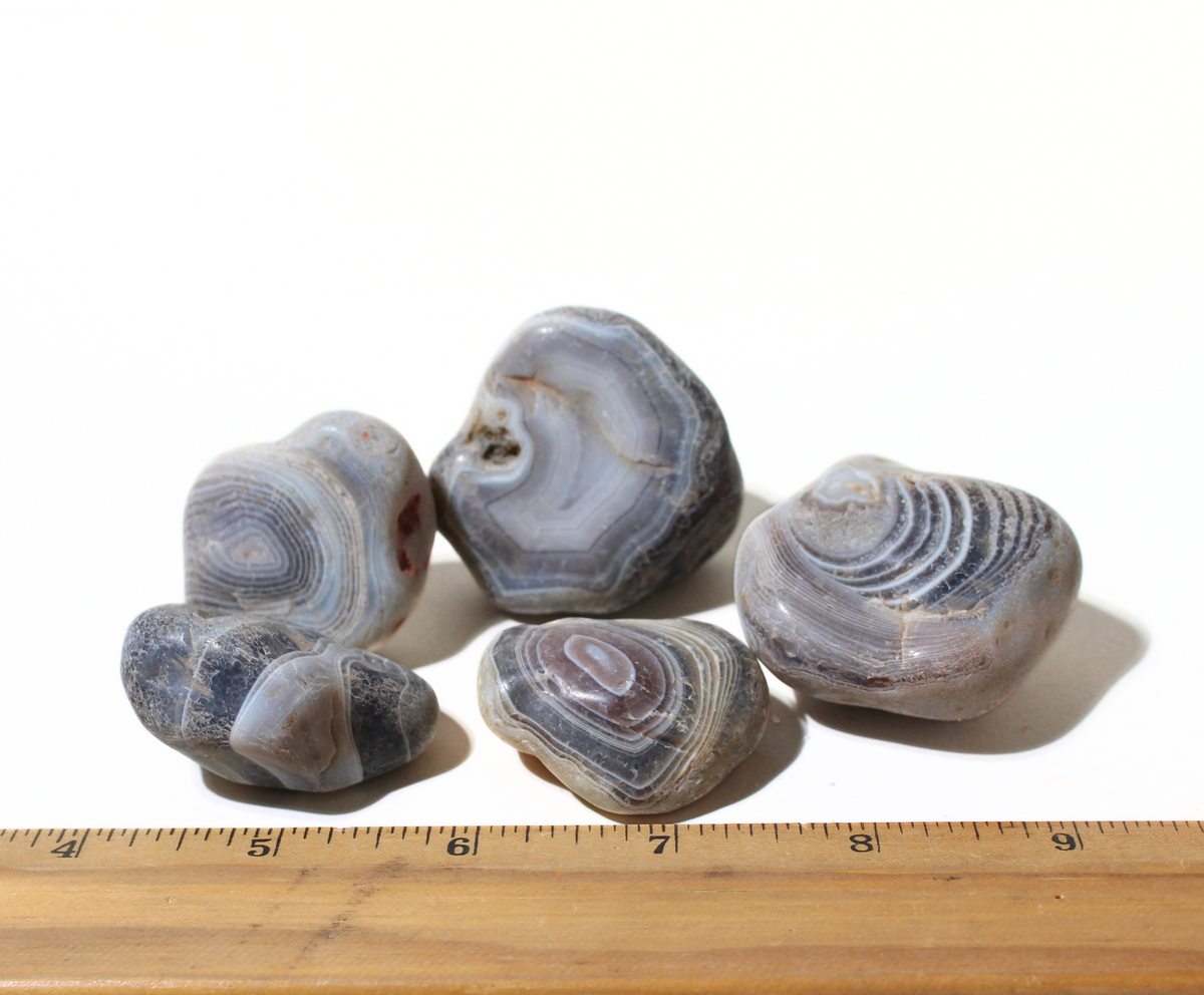 Gray Botswana Agate | Tumbling Rough Rocks from South Africa | Raw ...