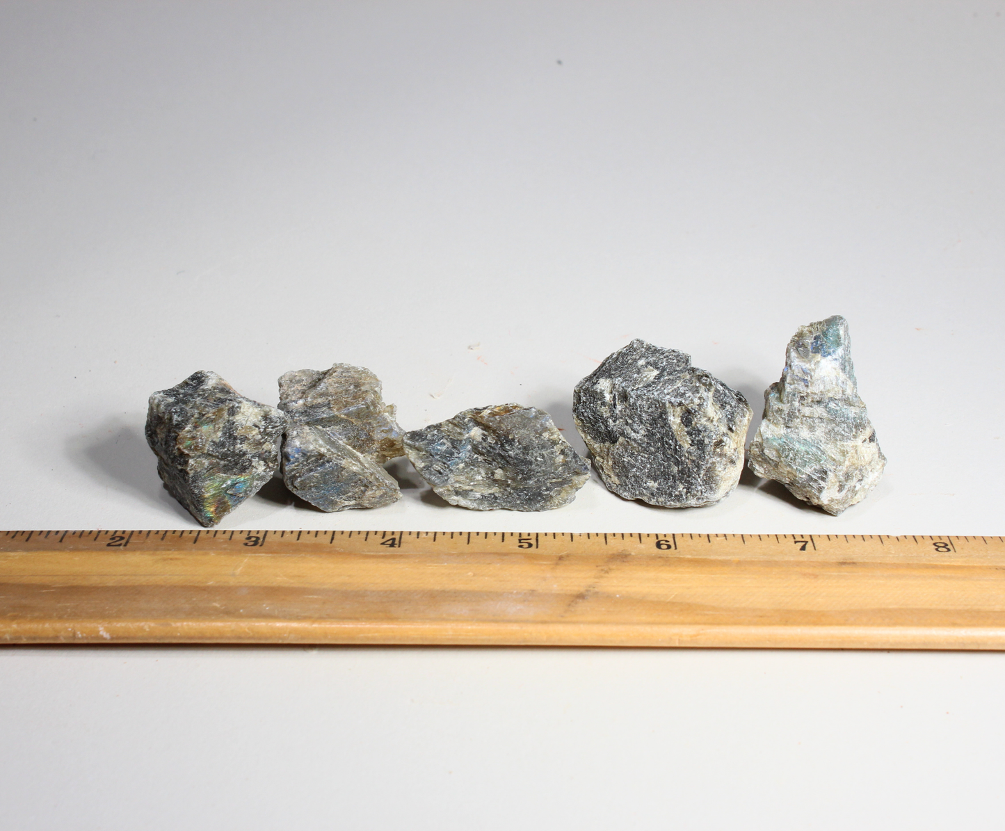Labradorite | Tumbling Rough | Small