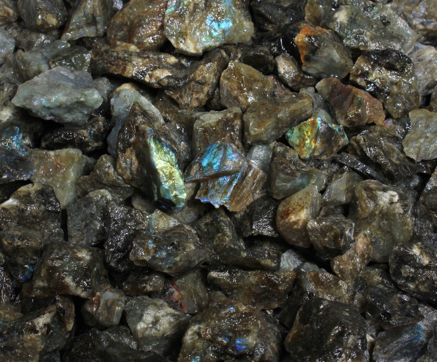 Labradorite | Tumbling Rough | Small