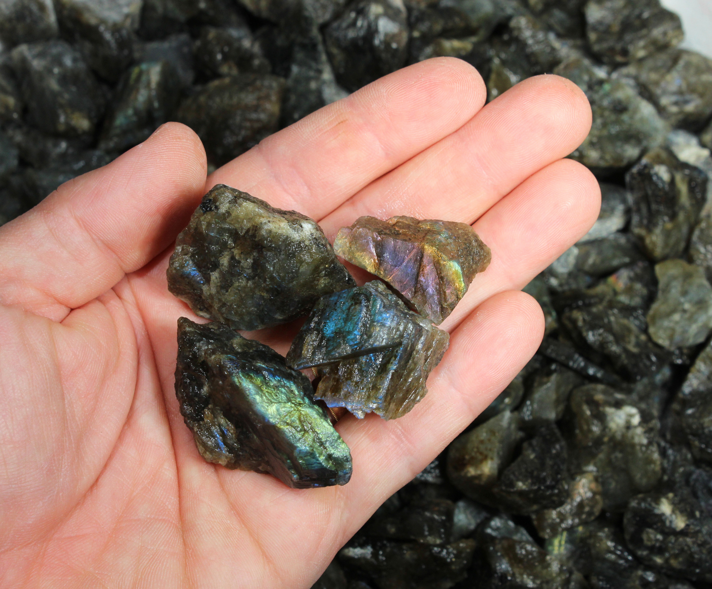 Labradorite | Tumbling Rough | Small