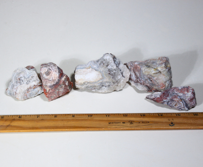 Laguna Lace Agate | Tumbling Rough