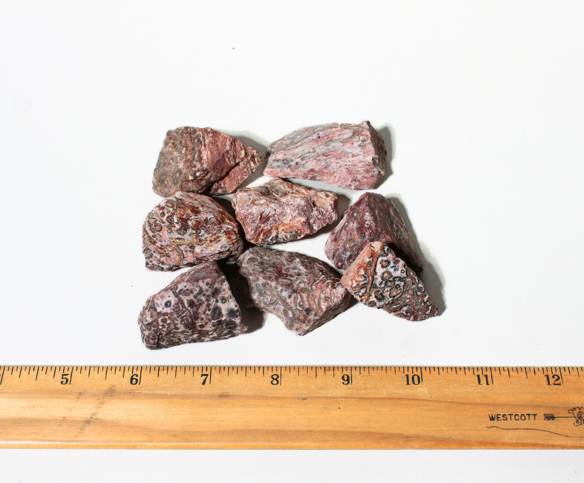 Leopard Skin Jasper | Tumbling Rough Rocks from Mexico | 1